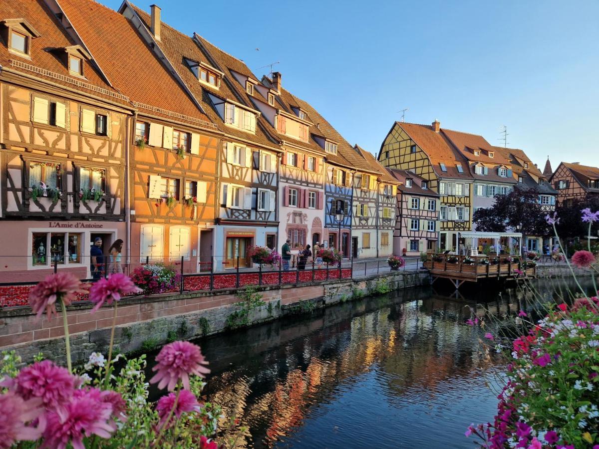 Home La Petite Porte - Petite Venise - Colmar Ngoại thất bức ảnh