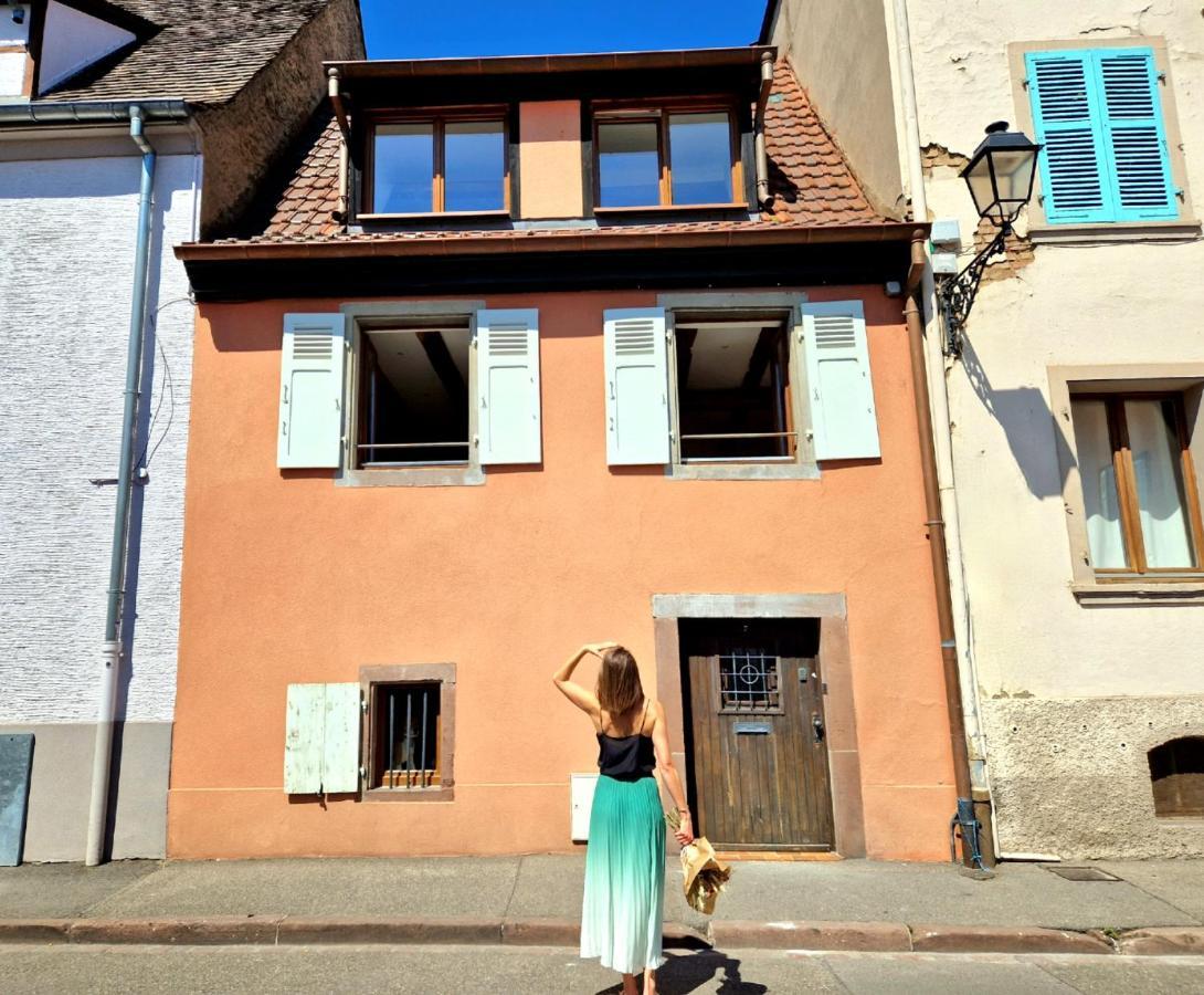 Home La Petite Porte - Petite Venise - Colmar Ngoại thất bức ảnh